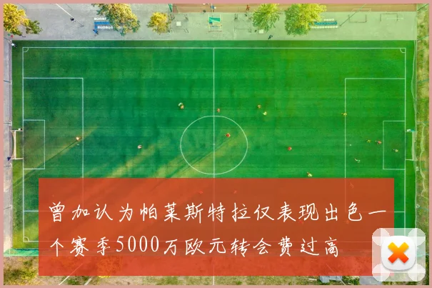 曾加认为帕莱斯特拉仅表现出色一个赛季5000万欧元转会费过高