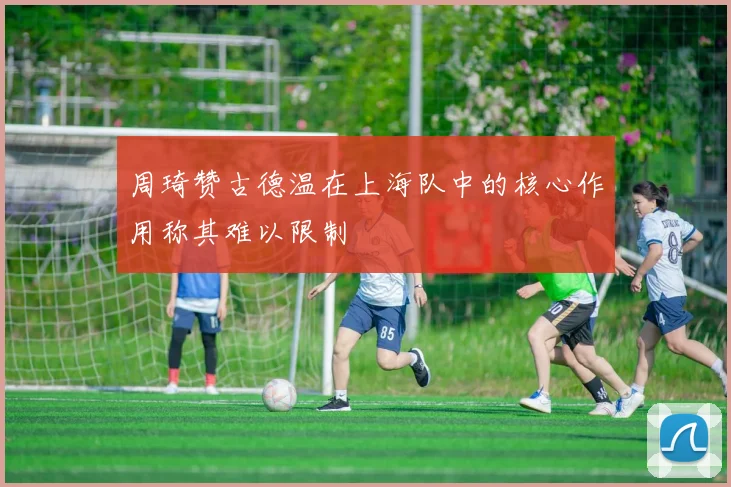 周琦赞古德温在上海队中的核心作用称其难以限制